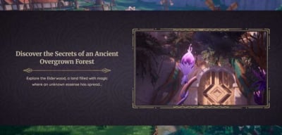 Palia Elderwood Map Guide: Exploring Secrets and Strategies in the New Area
