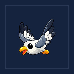 Arctic Tern