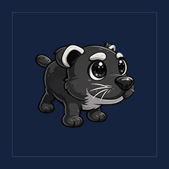 Binturong