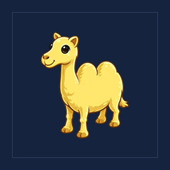 Camel