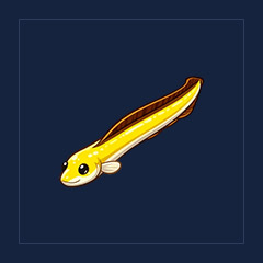 Eel