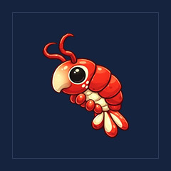 Emperor Shrimp
