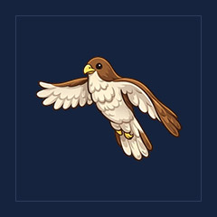 Hawk