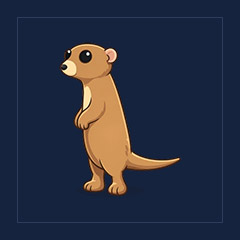 Meerkat