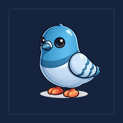 Rock Pigeon