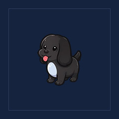 Royal Palace Spaniel