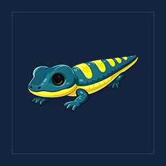 Salamander