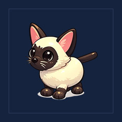 Siamese Cat