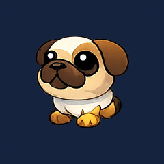 Snowball Pug