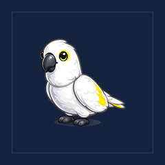 White Amazon