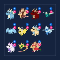 Dragon FR Pets Collection