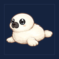 Harp Seal