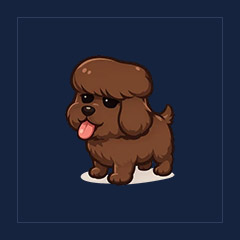 Irish Water Spaniel