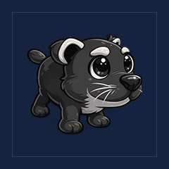 Binturong