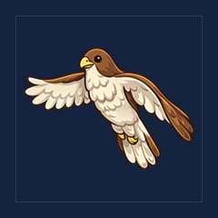Hawk
