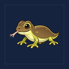 Komodo Dragon
