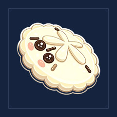 White Sand Dollar