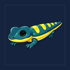 Salamander