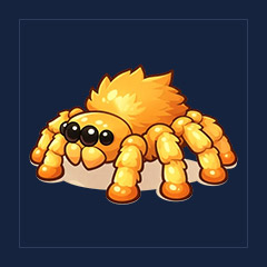 Jumping Spider