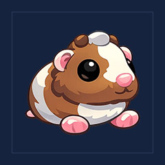 Chocolate Dutch Guinea Pig