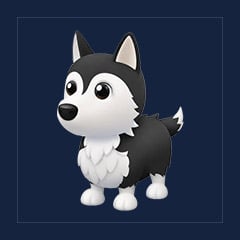 Husky