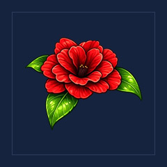 Forgotten Flower