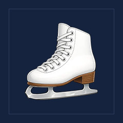Ice Skate Stroller