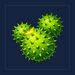 Cactus Balloon