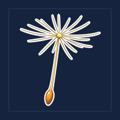 Dandelion Propeller