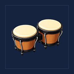 Campers Bongos