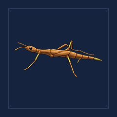 Natures Crossbow