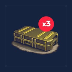 Skin Case 2 [x3]