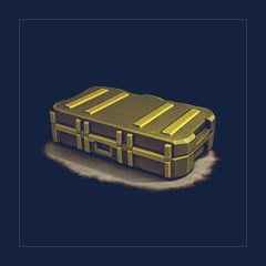 Skin Case 2