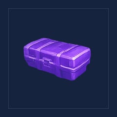 Skin Case 3