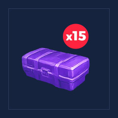 Skin Case 3 [x15]