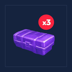 Skin Case 3 [x3]