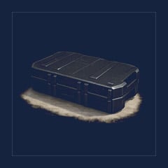 Skin Case