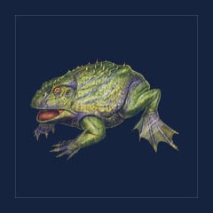 Aberrant Beelzebufo | Lvl 362 | Top Stats