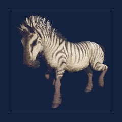 Aberrant Equus | Lvl 362 | Top Stats