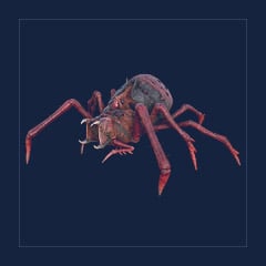 Araneo | Lvl 362 | Top Stats