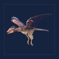 Archaeopteryx | Lvl 362 | Top Stats