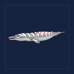 Basilosaurus | Lvl 362 | Top Stats
