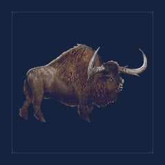 Bison | Lvl 362 | Top Stats