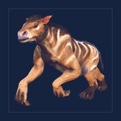 Chalicotherium | Lvl 362 | Top Stats