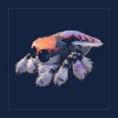 Cosmo | Lvl 362 | Top Stats