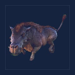 Daeodon | Lvl 362 | Top Stats