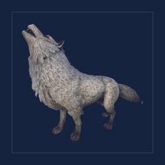 Direwolf | Lvl 362 | Top Stats
