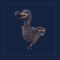 Dodo | Lvl 362 | Top Stats