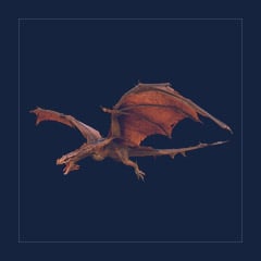 Fire Wyvern | Lvl 362 | Top Stats