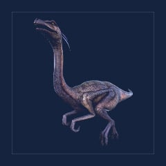 Gallimimus | Lvl 362 | Top Stats